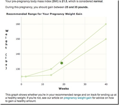 week 19 pregnancy weight gain