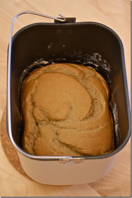 Gluten Free Breadmaker Bread – Hungry Hungry Hippie