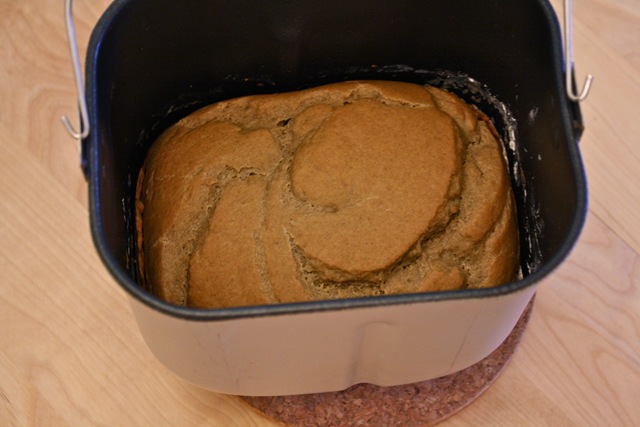 Gluten Free Breadmaker Bread – Hungry Hungry Hippie