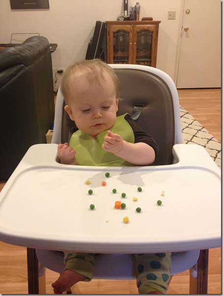 10 Months Old Baby Diet